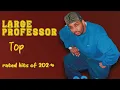 Large Professor-Hits that set the tone for 2024-Greatest Hits Selection-United