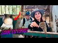 Download Lagu ¿RITUALES en esta FÁBRICA ABANDONADA? | Encontramos Objetos Extraños