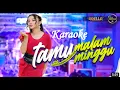 Download Lagu Karaoke Adella - Tamu Malam Minggu - Tasya Rosmala