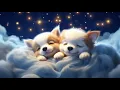 Download Lagu Sleep Instantly Within 3 Minutes - Insomnia Healing, Stress Relief, Anxiety and Depressive States