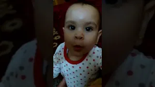 كيف تنطق كلمة قطة  كيف تنطق كلمة قطة