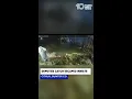 Florida deputies capture escaped inmate who went into pond