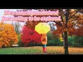 beautiful colors best fall foliage drive nature rain and relaxing Autumn Ontario in Canada 2025