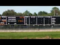 Daytona greyhound racing