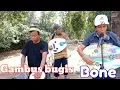 KUMPULAN LAGU GAMBUS BUGIS BONE @FIRAHMUSIKGAMBUS