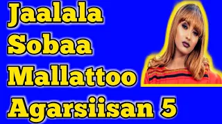 Jaalala Sobaa Mallattoo Gurguddoo Agarsiisan 5 Subscribe Gochuun Vidiyoo Itti Aansuunis Argadha 