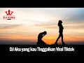 Lagu DJ Aku Yang Kau Tinggalkan Viral Tiktok