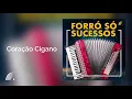 Download Lagu Forró Rasta Chinela - Coração Cigano - Forró Só Sucessos