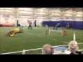 AKC Agility May 16th-17th 2015 Rhode Island