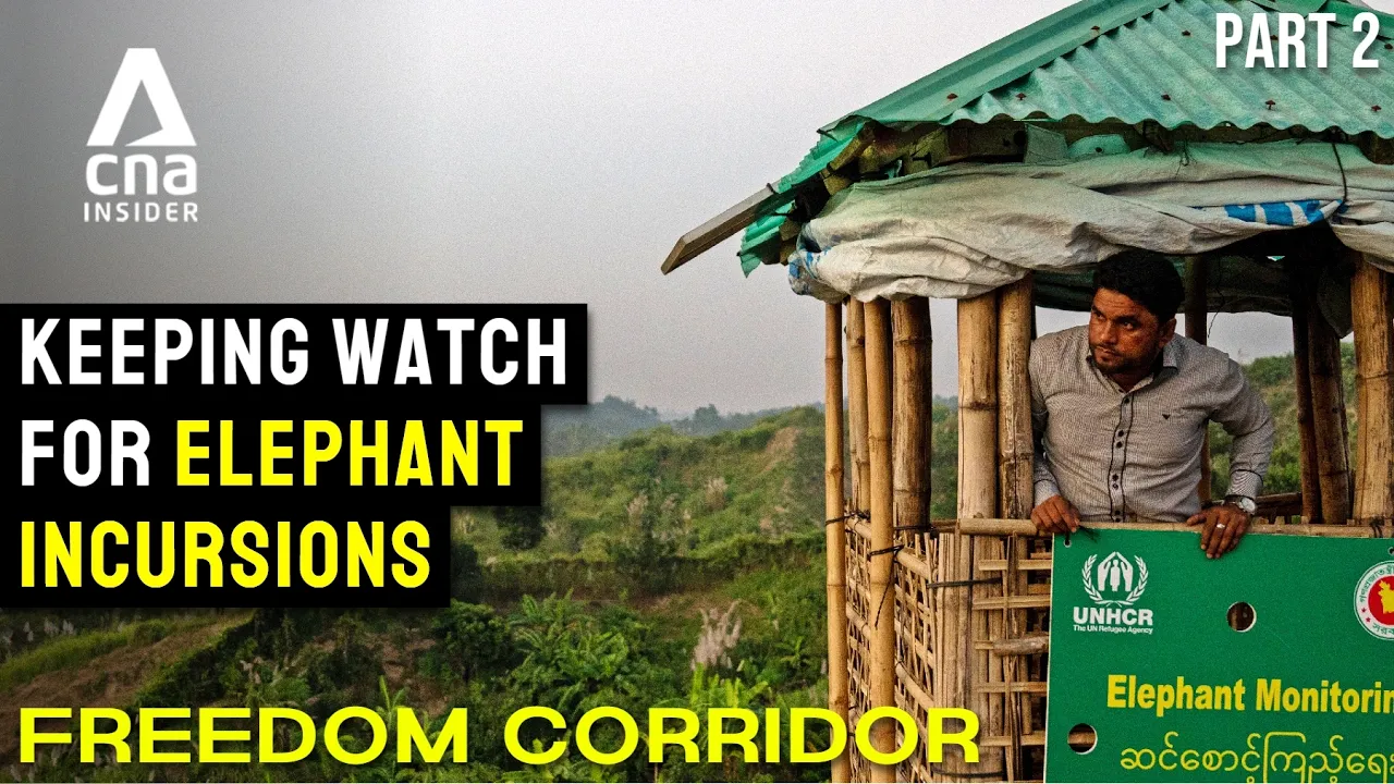 The Freedom Corridor Ep2