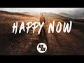 Download Lagu Zedd - Happy Now (Lyrics) With Elley Duhé