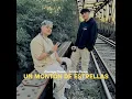 Un Montón de Estrellas