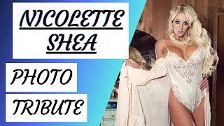 nicolette shea quality pornstar tribute hot pictures 