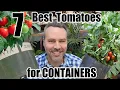 Download Lagu 7 Best Tomatoes to Grow in Containers