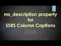 ms - description for SSRS Column Captions