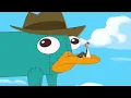 A platypus balloon