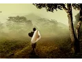 Download Lagu 2 HOURS of Relaxing Music | Chinese Bamboo Flute | Piano - Meditation Music - Healing Zen, Sleep ☯1
