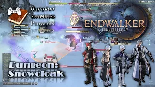 Dungeon Snowcloak Final Fantasy XIV