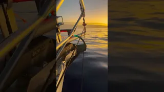 We’re back!!! UPLOADING, AS WE SPEAK, FROM THE MIDDLE OF THE ATLANTIC OCEAN! Coming soon…. #sailing