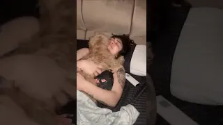 انتي مابتعتقيش حتي الكلا    ياسا ڤله     اضحك من قلبك  الساحل الشرير  تيك توك مشاهير مدحت المصري دندنها