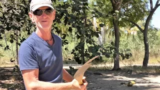 FORAGING with FREE RANGE SAILING (Sailing SV Sarean) Ep. 40