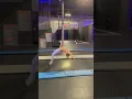 Double Back Handspring Double Front Handspring