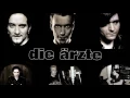 Junge (Die Ärzte)  Subtitulos español