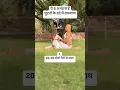 Download Lagu yoga for knee pain / knee joint / 30 minute easy yoga/ twisting asanas/ #knee #kneepain #jointpain