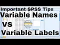 Variable Names and variable Labels in SPSS Important tips for beginners