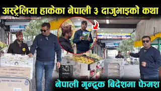 अस्ट्रेलिया हाँकेका नेपाली तीन दाजुभाइ,यस्तो लोकप्रिय छ विदेशमा नेपाली गुन्द्रुक हेर्नुहोस moonlight