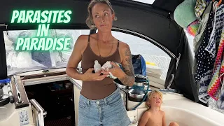 Parasites in Paradise