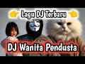 Download Lagu DJ MELODY WANITA PENDUSTA