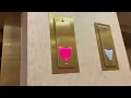 Schindler 330A Hydraulic Elevators at Wegmans at Crosspoint Townsquare in Woodbridge NJ