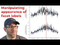 Stylizing the appearance of facet labels with ggplot2 s facet - wrap CC236