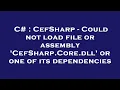 C CefSharp - Could not load file or assembly CefSharp Core dll or one of its dependencies