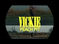 [VICKIE - PEACH PIT] COVER in Vietnamese by Ba Tú