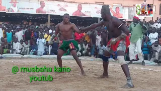 gacikakken danben yau na ebola da garkuwa