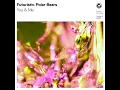 You & Me - Futuristic Polar Bears
