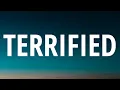 Download Lagu Blink-182 - TERRIFIED (Lyrics)