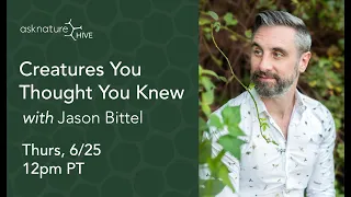 AskNature Hive Live Conversation Replay with Jason Bittel
