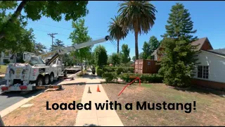 Fishing a container loaded with a classic Mustang out of a house