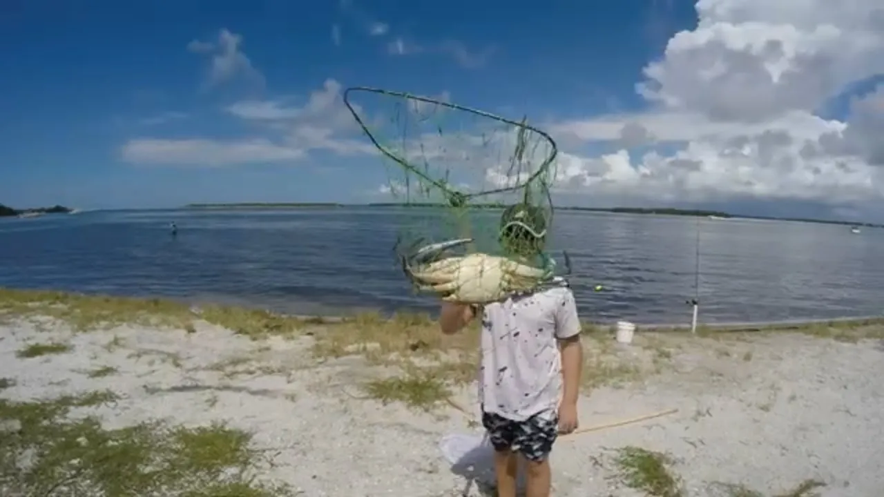 Fort DeSoto Park fishing and Crabbing. FISH ON CHANNEL