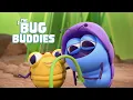 Download Lagu BUG BUDDIES in The Last Draw... and more! ✏🐞 New Delicious Cartoons Every Week 😍 | Cartoons for Kids