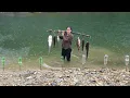 Download Lagu Bac's sister's ancient fishing techniques helped her harvest 15kg of stream fish to sell for money.