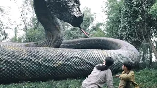 Ancient creatures are resurrected, and the boy witnesses the battle of dinosaurs and snakes!