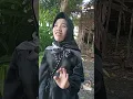 Download Lagu Bukan selembar tisu