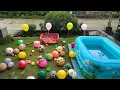 Download Lagu Mencari Bola Basket, \u0026 Meletuskan Balon Berhadiah, Mengumpulkan Bola Bola Besar, Bola Bola Kecil