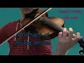 Download Lagu Boulevard of Broken Dreams- Violin Cover (Lindsey Stirling Violin cover)