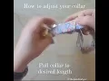 How to Adjust Your New Dog Collar