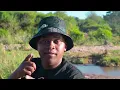 MAJONGOSI. - Isitha Sikababa (Official Music Video) ft. Imbongi Yasebukhosini